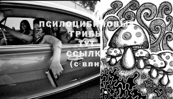 ГАЛЛЮЦИНОГЕННЫЕ ГРИБЫ Зеленокумск