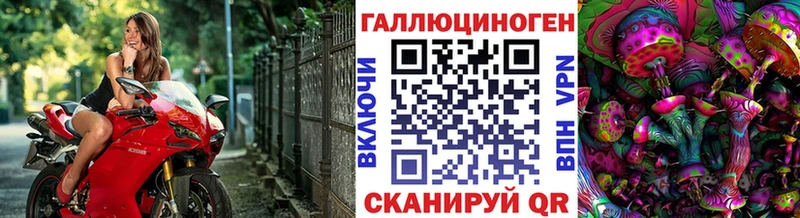 Купить  Белгород  Галлюциногенные грибы Psilocybine cubensis 